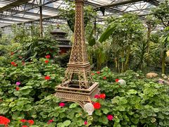 -南宫五洲植物乐园