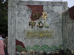 -广东惠东海龟国家级自然保护区
