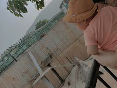 -无锡动物园·太湖欢乐园