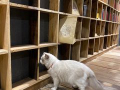 -邈墨茶馆(大兜路1号店)