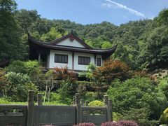 -十八棵（老龙井）御茶园(老龙井店)
