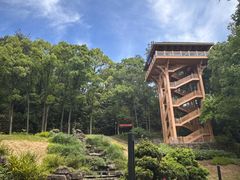 -缙云山景区