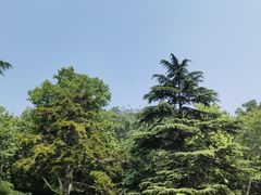 -青岛德国总督楼旧址博物馆