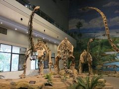 -自贡恐龙博物馆