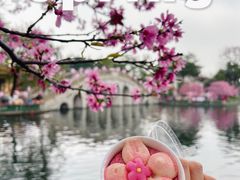 -宝墨园景区