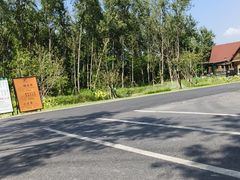 -合肥滨湖国家森林公园