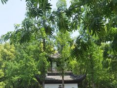 -汇龙潭