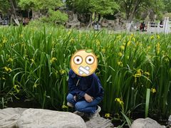 -莲湖公园