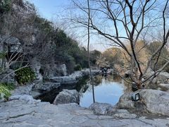 -上海吴淞炮台湾国家湿地公园