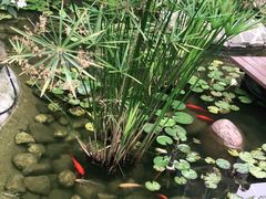 -墨居上隐·院子里火锅(峨眉店)