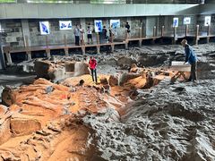 -自贡恐龙博物馆