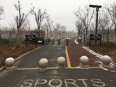 -天津东丽湖风景区