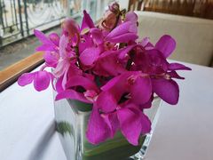 -阿诺泰·泰国餐厅(紫荆店)