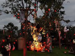 -七彩云南欢乐世界