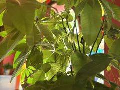 -泰融玺·泰式按摩SPA(包河万达店)