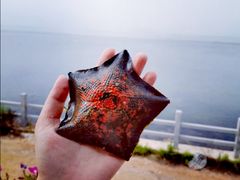 -兴旺渔家