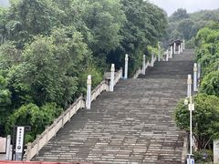 -铁山坪森林公园