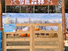 -盈香心动乐园