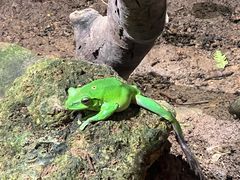 -正佳雨林生态植物园