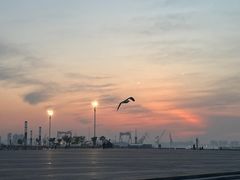 -东港音乐喷泉广场