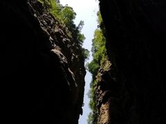-武陵山森林公园