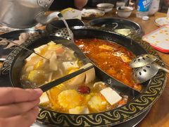 -小志家.野生菌鲜切牦牛肉牛杂火锅