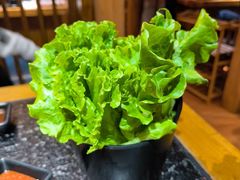 -九田家黑牛烤肉料理(郫都万达檬柏西路店)