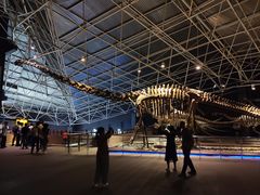 -世界恐龙谷景区