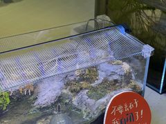 -中国湿地博物馆