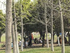 -汉长安城未央宫国家考古遗址公园