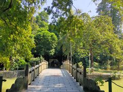 -广西壮族自治区药用植物园