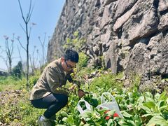 -宁波五龙潭景区