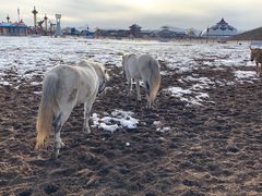 -中国马镇舞马世界主题乐园