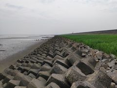 -南汇嘴观海公园