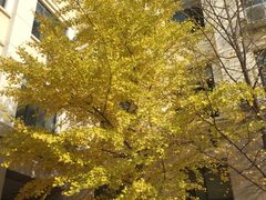 -北京化工大学(东校区)