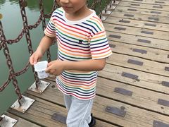 -东湖落雁景区