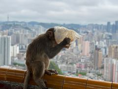 -黔灵山公园