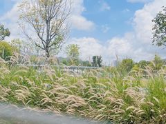 -西涌国际滨海旅游区