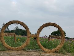 -嘉北郊野公园