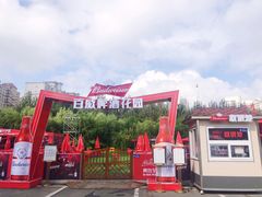 -龙塔