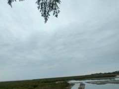 -北海金海湾红树林生态旅游区