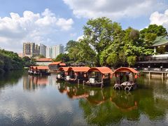 -侨美·唐荔园·40年地道粤菜