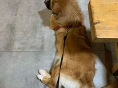 -白洋淀锅里口灶台鱼