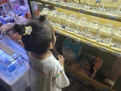 -中环花鸟鱼虫市场