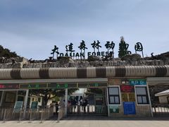 -大连森林动物园