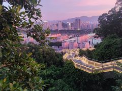 -福道