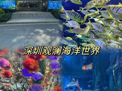 -深圳野生动物园