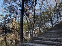 -灵顺寺