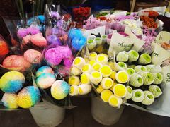 -双季花艺园艺市场(浦东店)