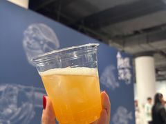 -凤凰中心